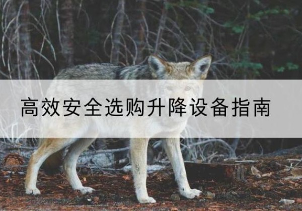 丰林升降货梯厂家推荐-*安全选购升降设备指南