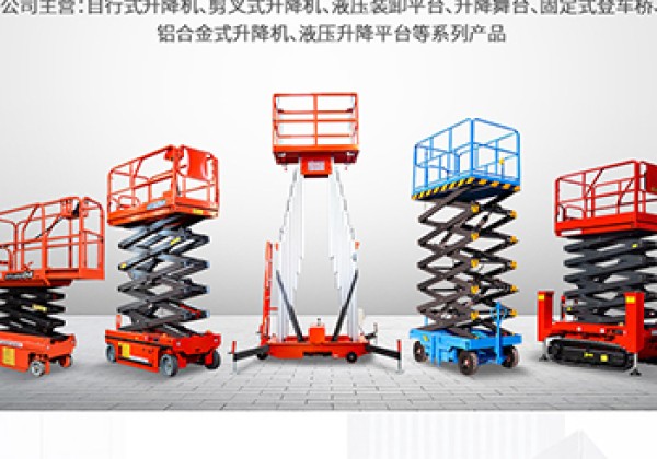 丰林​出口成为核心增长引擎