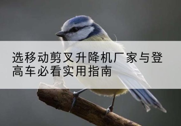丰林电动升降机厂家-选移动剪叉升降机厂家与登高车必看实用指南