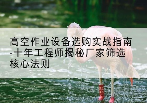 丰林剪叉式升降机厂家-高空作业设备选购实战指南-十年工程师揭秘厂家筛选核心法则