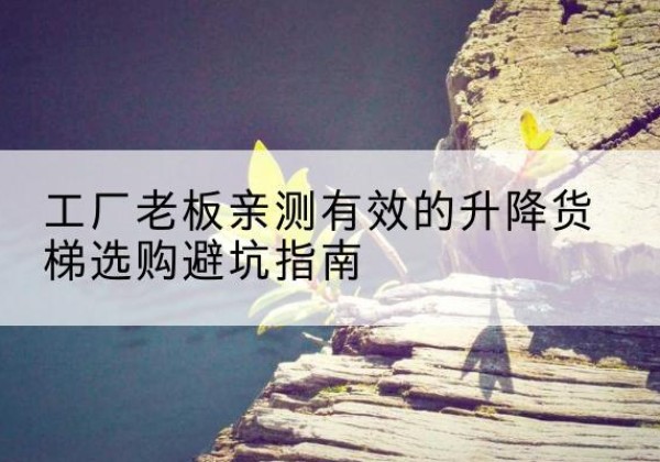 丰林升降货梯怎么选-工厂老板亲测有效的升降货梯选购避坑指南